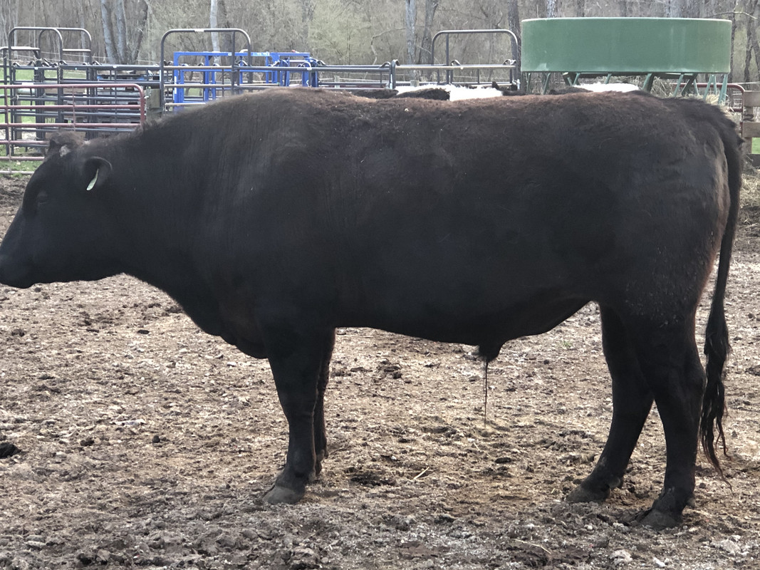 2A55B234-138E-4206-A92A-F4B7B97C23CB