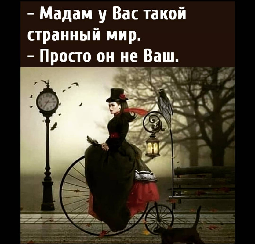Screenshot-2021-10-19-07-29-14-31-1c337646f29875672b5a61192b9010f9.jpg