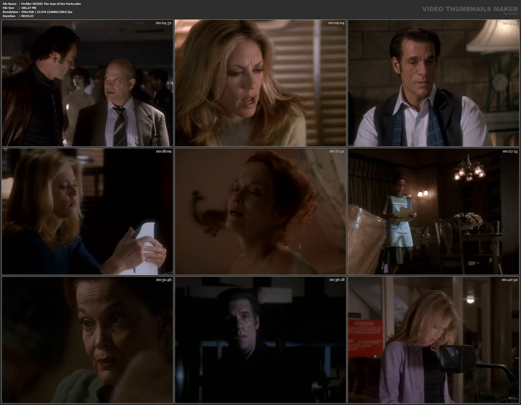 Profiler S03E05 The Sum of Her Parts.mkv