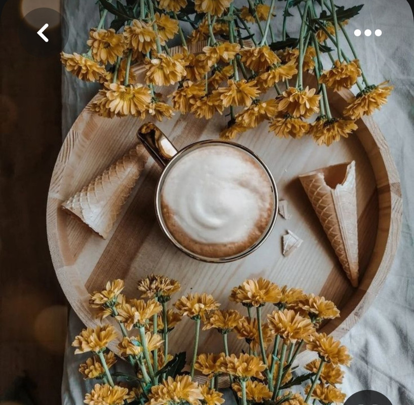 Screenshot_20230622_011700_Pinterest