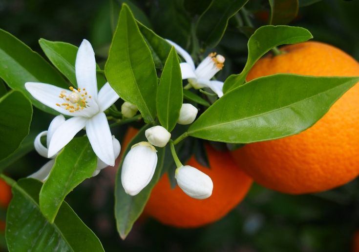 b5a37d1c4862a7b6a257cdb273ff5064