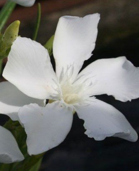 IMG_20220602_231239_220