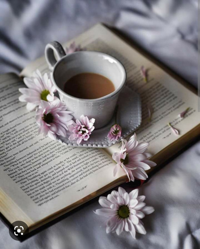 Screenshot_20221124-084200_Chrome