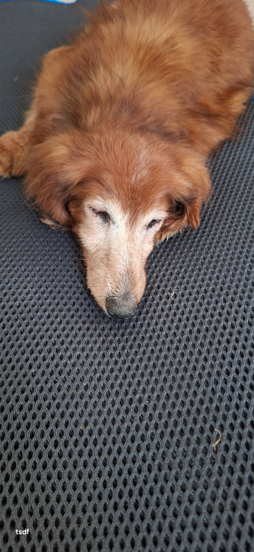 [Image: 20250515-132133.jpg]