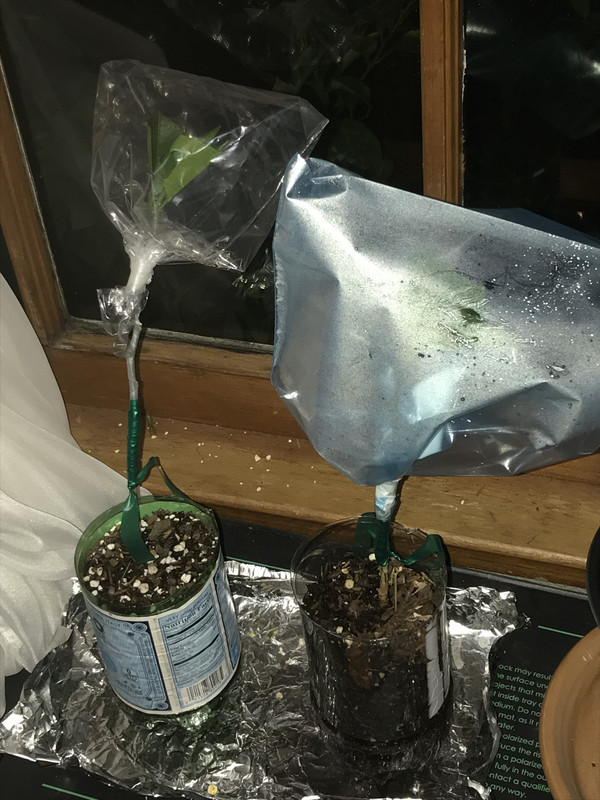 A489D5DD-ABC8-414B-9B2E-28BB224EB701