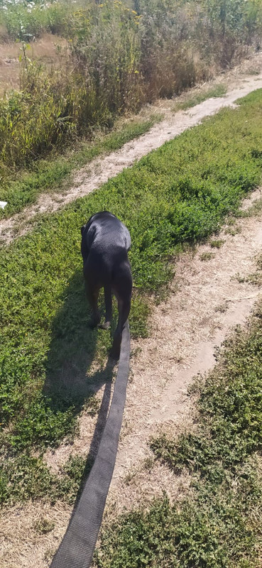 A1B5BA3C-7C20-425E-A281-0C84DDC8226F