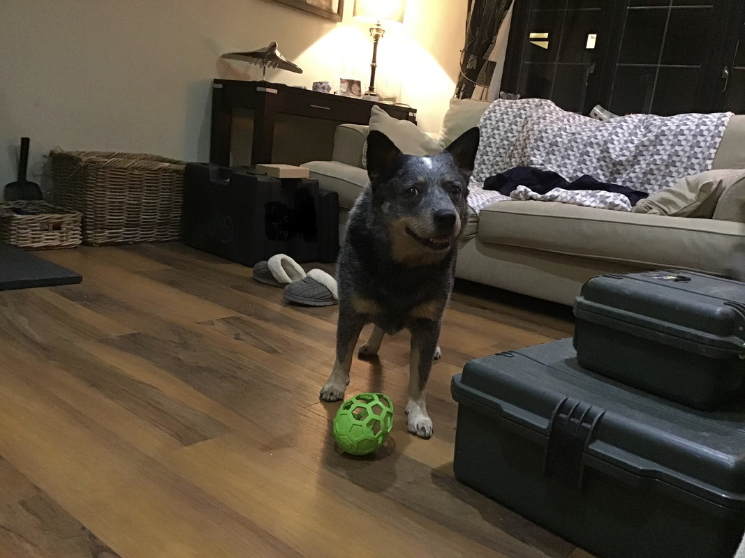 1E3FFF8B-D5C4-4EFF-AD75-D71DEEF80704