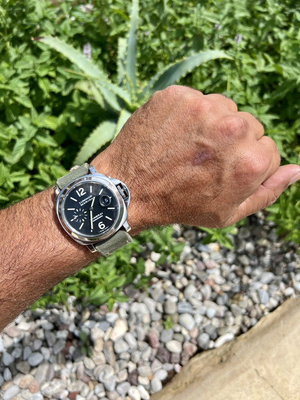 D33FD77E-B415-48CC-96AB-8886A11813F7