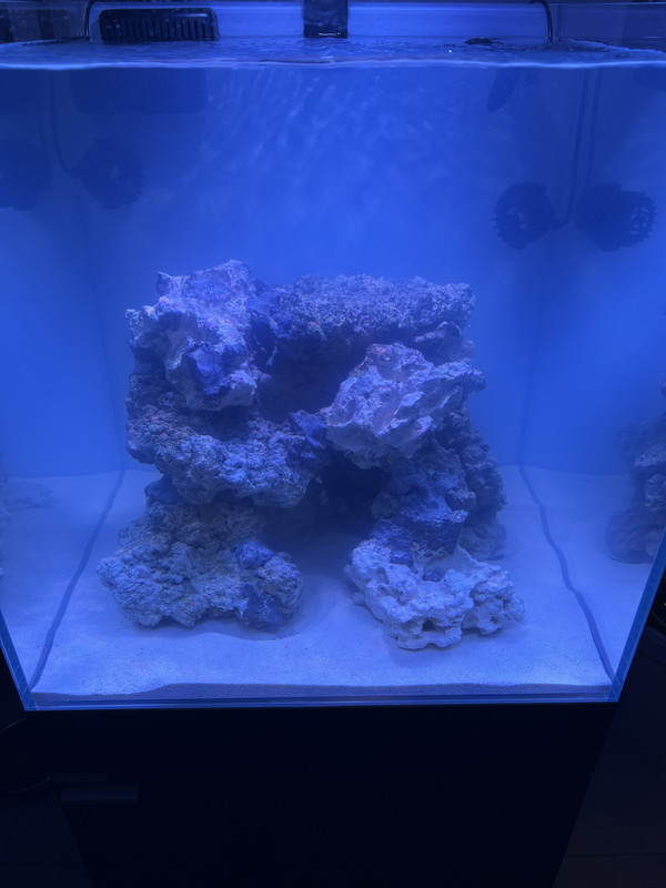 242DBE2D-B9F0-4CF6-9A55-6CD8C3366F4D