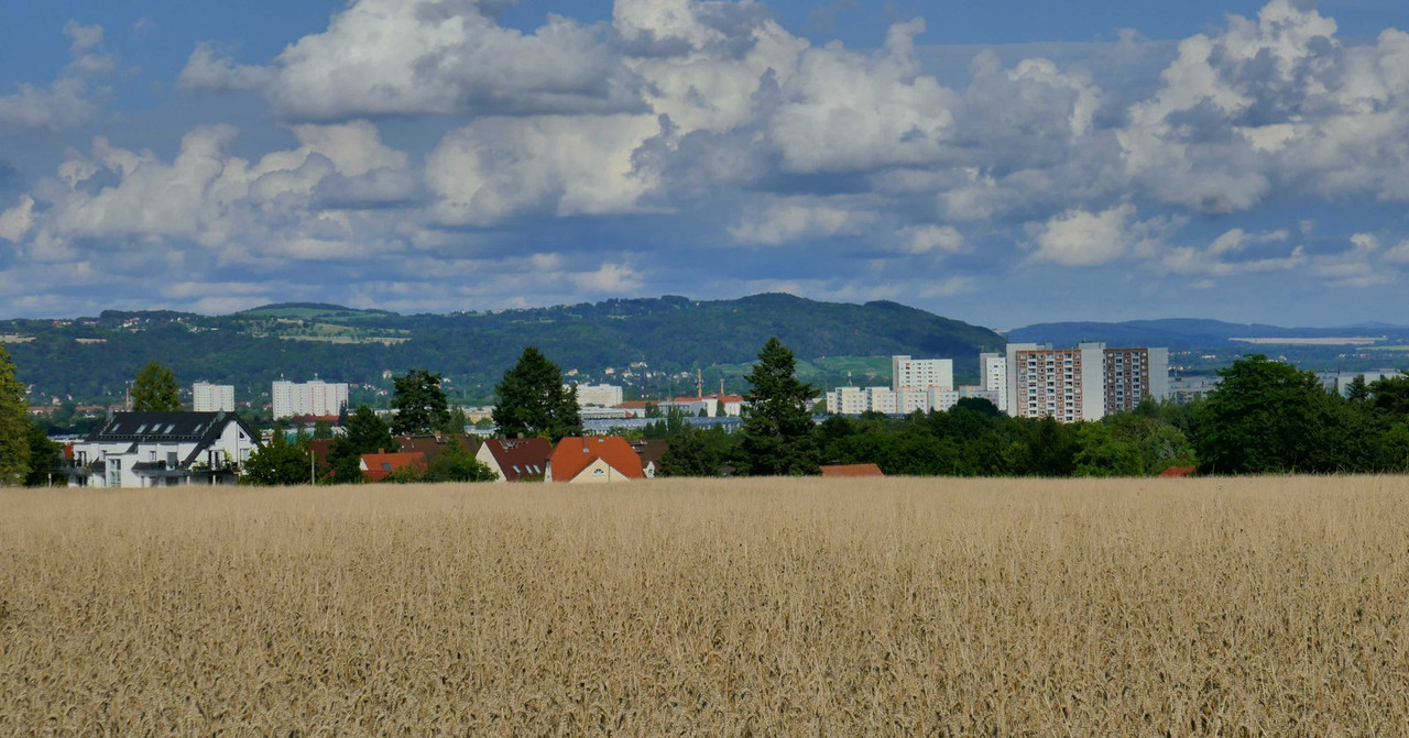 Bild: https://i.postimg.cc/BQ9bwSPL/P1290824.jpg