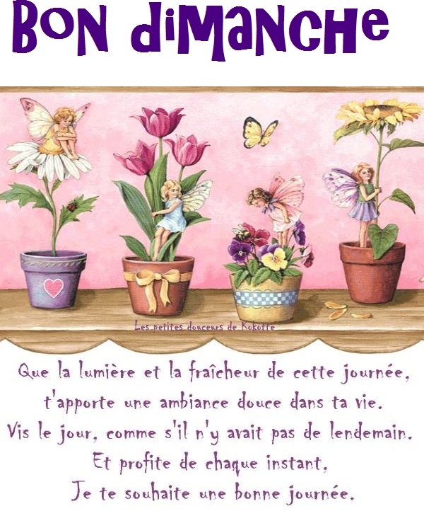 dimanche 18 août JOURNEE-DIMANCHE-CITATION