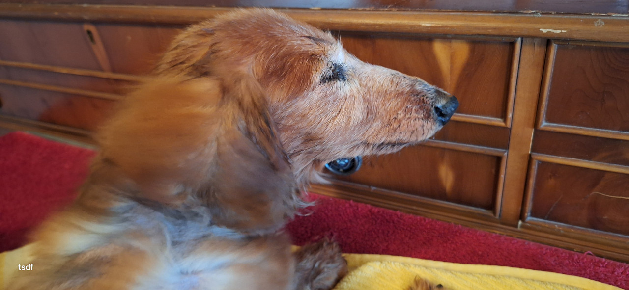 [Image: 20250719-100704.jpg]