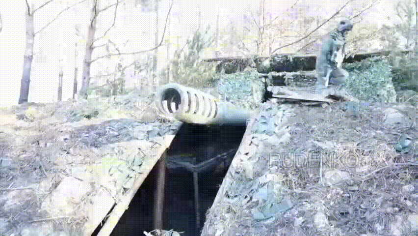 https://i.postimg.cc/BQ9zWsxQ/video-2026-06-02-05-40-28-(1).gif
