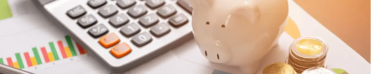 solution budget