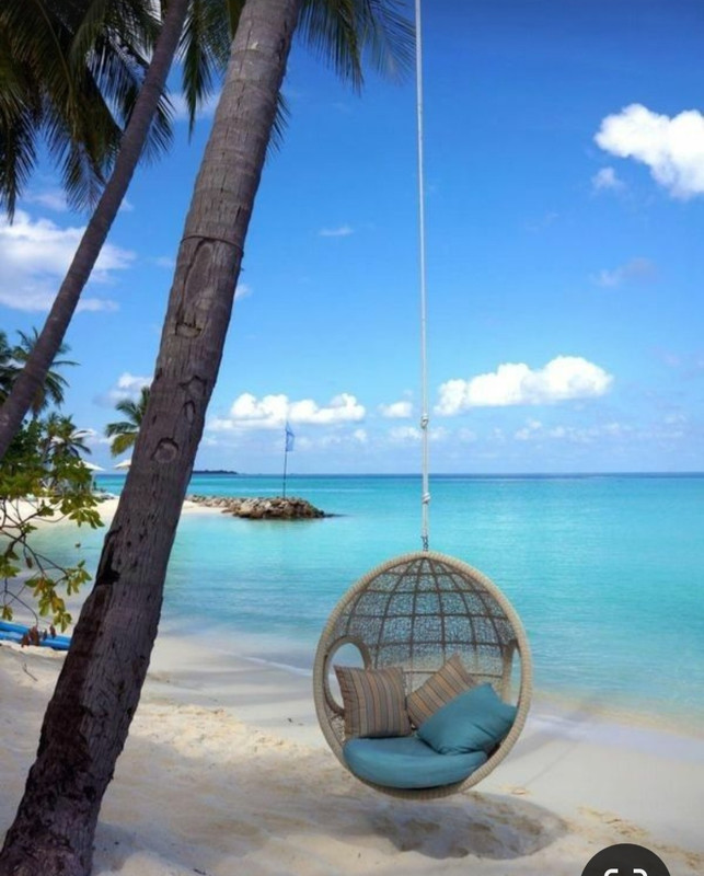 Screenshot_20230515_190753_Pinterest