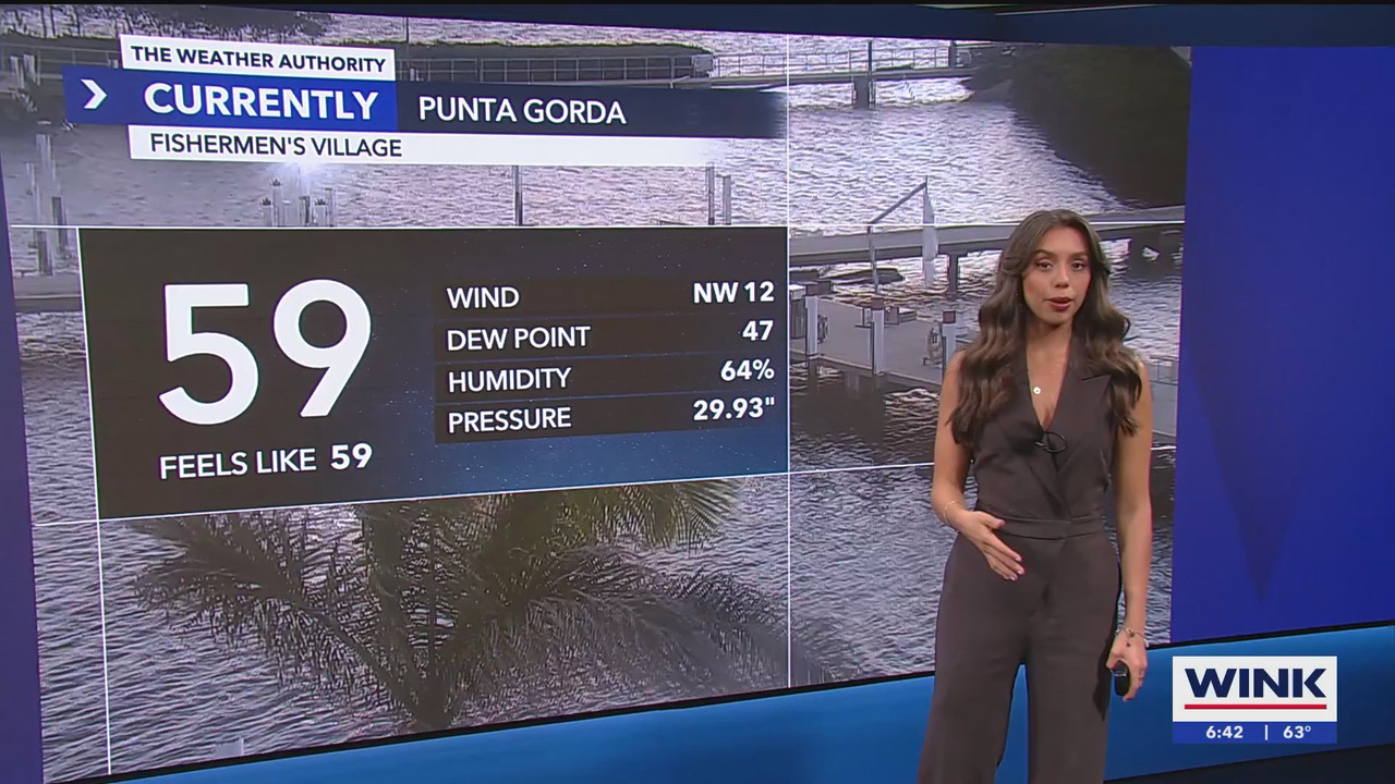 WINK News at 630am_20250306_11301200.ts_snapshot_13.56.017