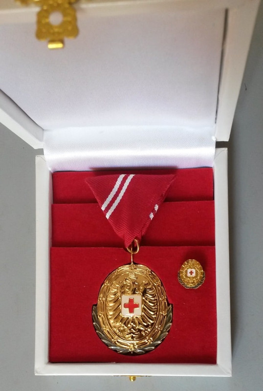 вена1