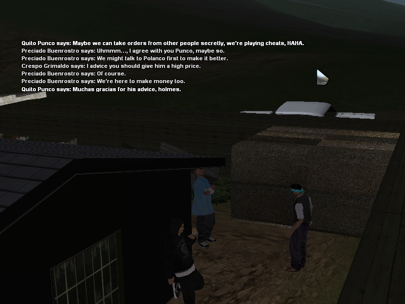 SS12b.png