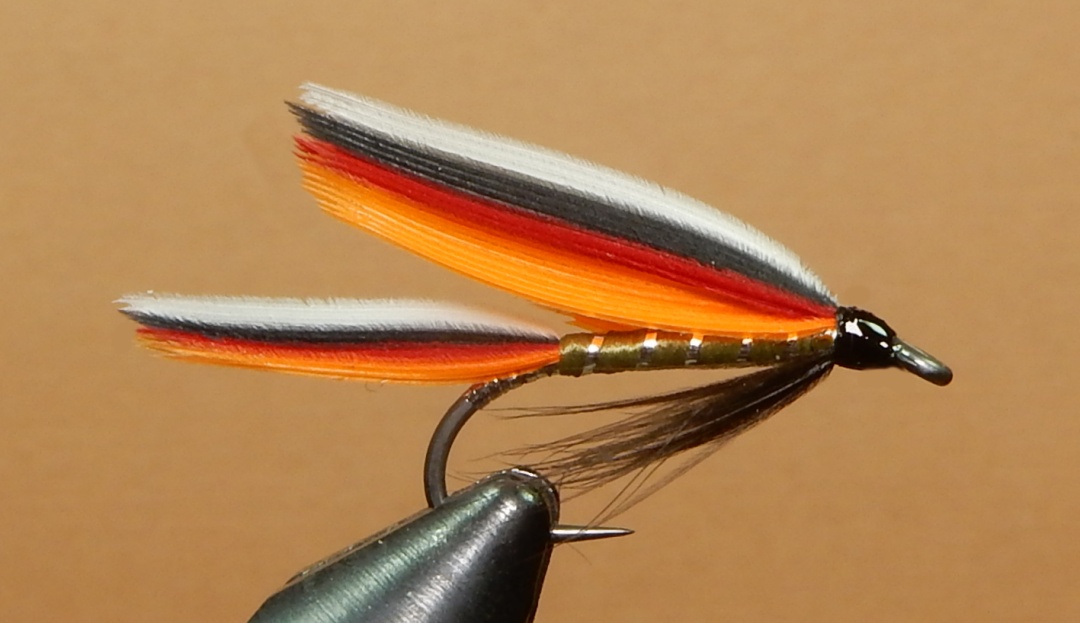 Olive-Trout-Fin-1080.jpg