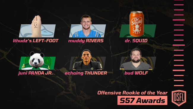 008 DSFL offensive rookie of the year NOM