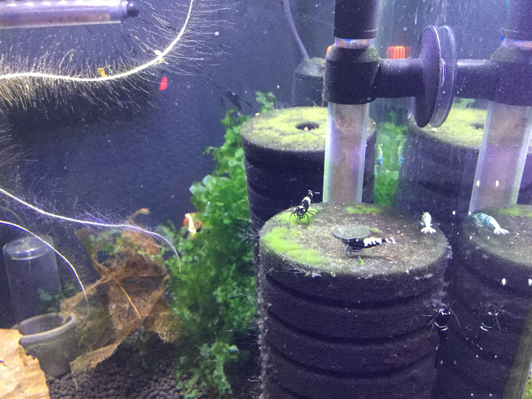 2F2647C0-5317-41C4-9424-CA91D545915A