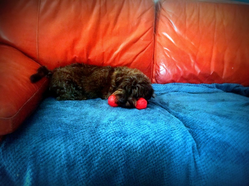 [Image: IMG-2880.jpg]