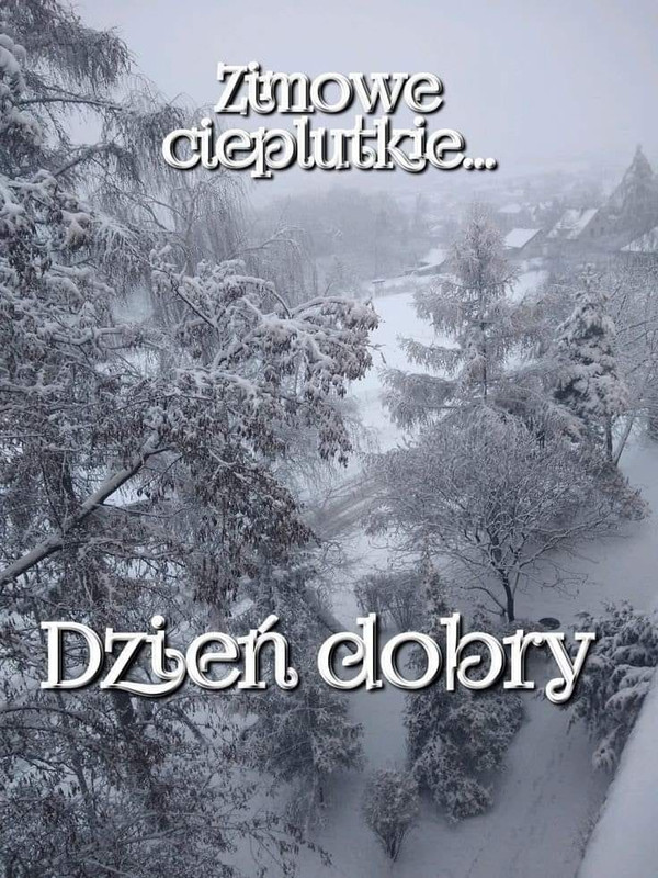 https://i.postimg.cc/BQCW6rht/407426149-1516312029154967-1911163656705547742-n.jpg
