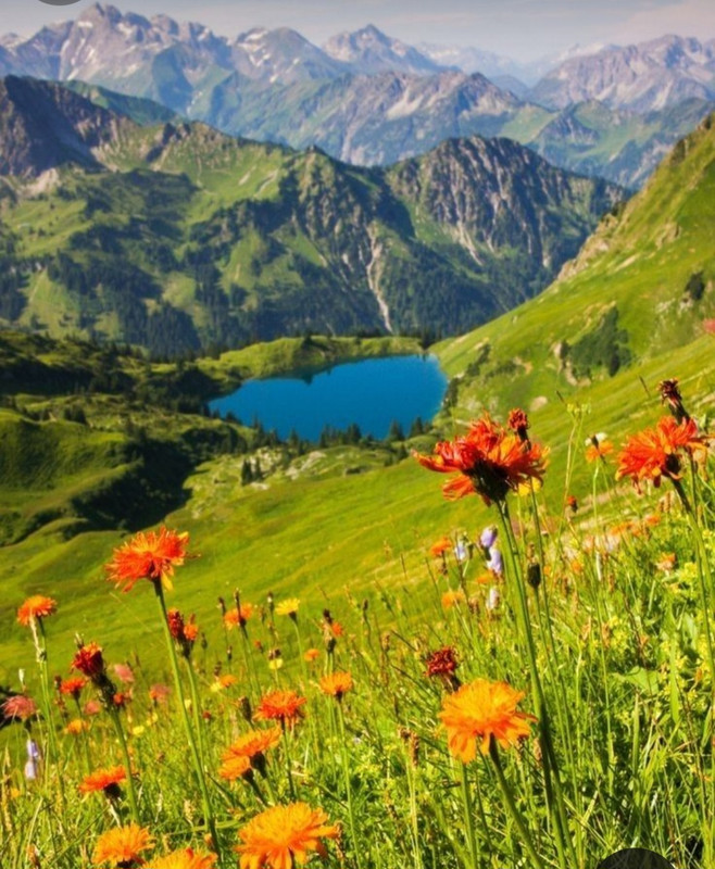 Screenshot_20240512_183637_Pinterest