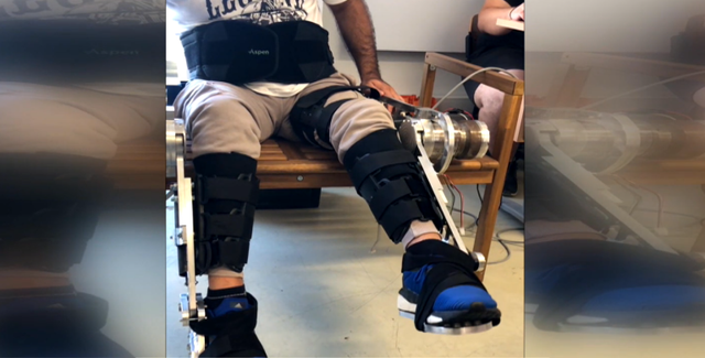 exoskeletos