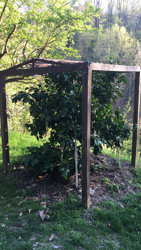 E45FCBBB-A66C-48AE-BAC0-9345F00EA82F