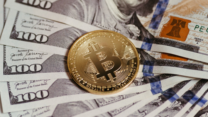 article content image