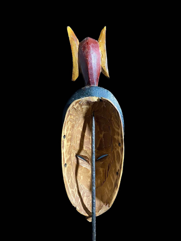 large image 11