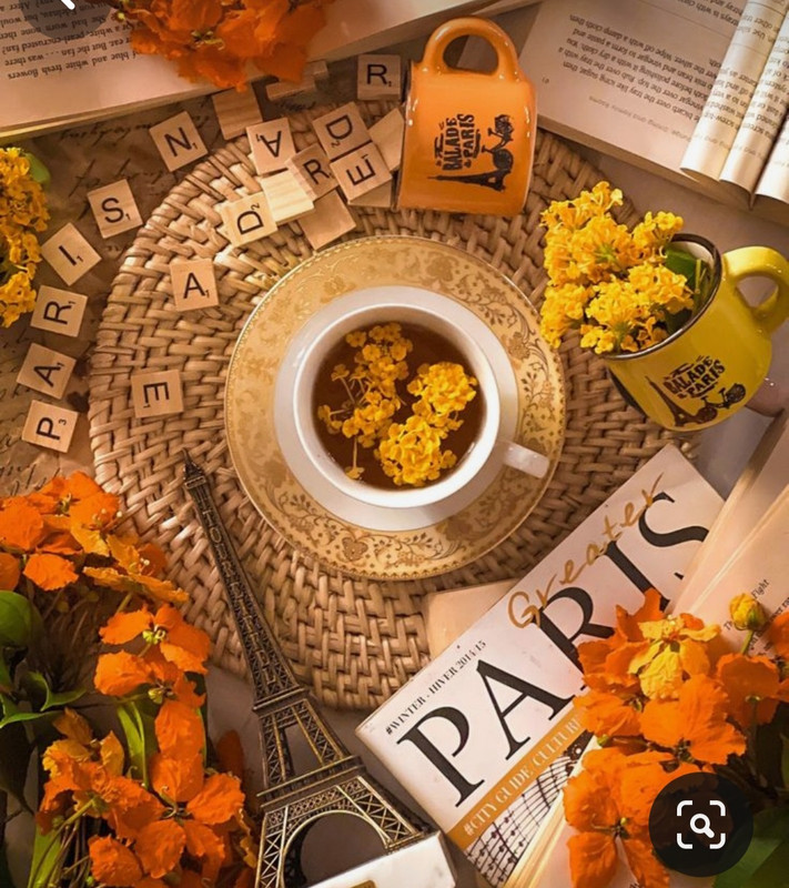 Screenshot_20240424_230121_Pinterest