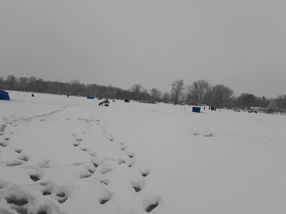 08DEC043-B445-434B-A12D-ACA09184DBC0