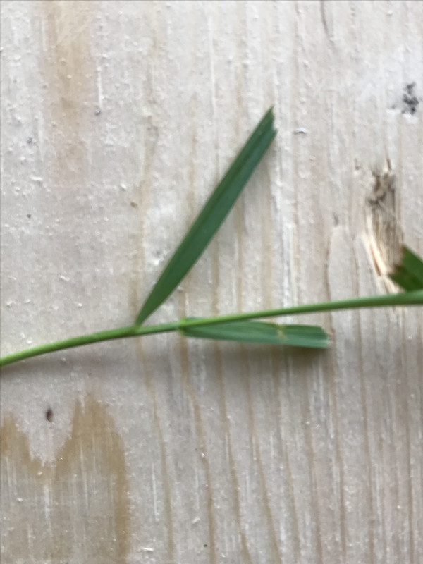 79C1B170-FFA4-461C-B1E2-6877B000C954