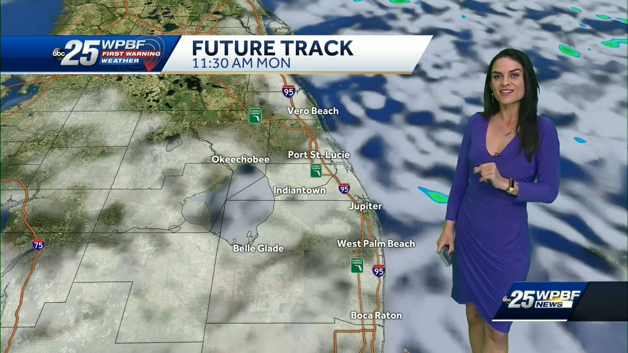 01.10 - 04.00.00 - WPBF 25 News..ts_snapshot_16.07.389
