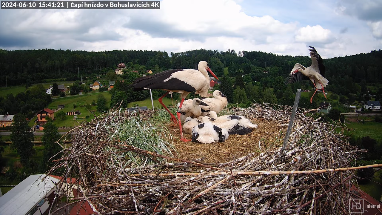 Tiešraidē no uzņēmuma KARA stārķa skursteņa Bohuslavicē pie Trutnovas 11-26-45 screenshot