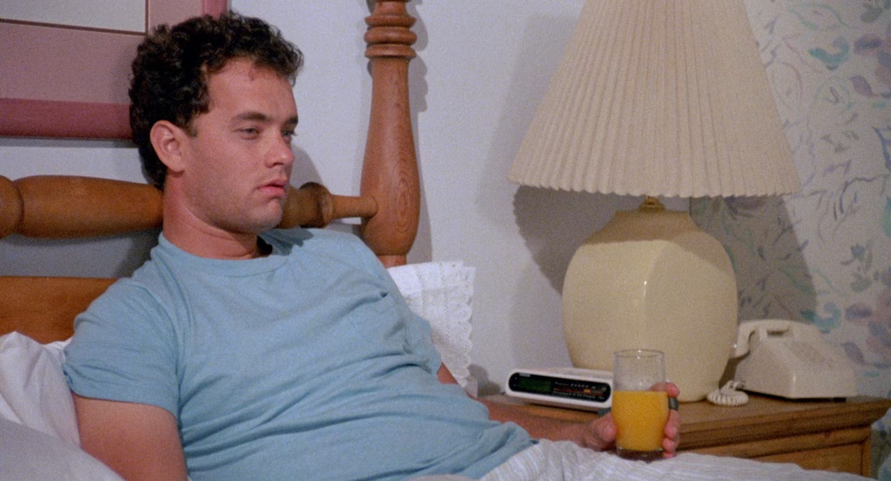 The 'Burbs 1989 (1080p x265 10bit Tigole).mkv_sn