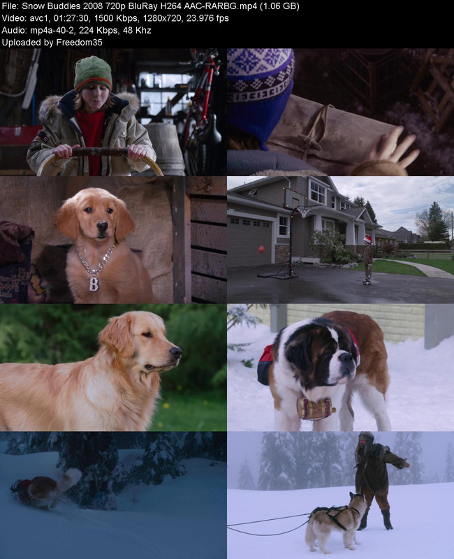 Snow-Buddies-2008-720p-Blu-Ray-H264-AAC-