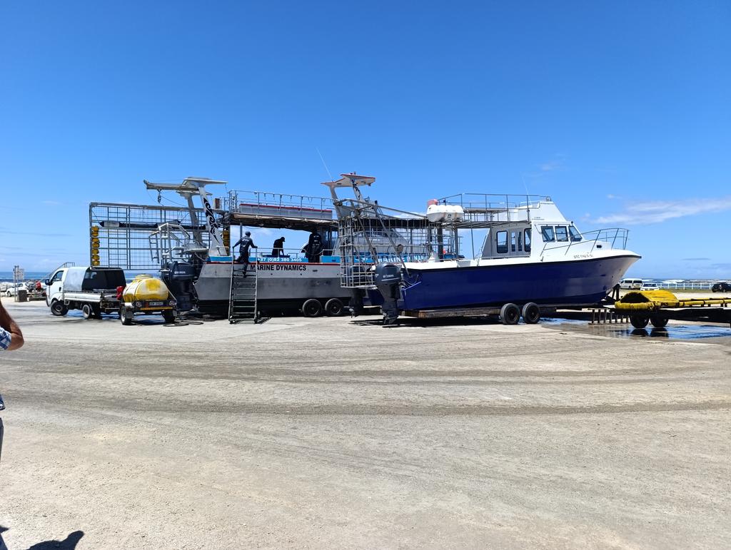 Такая близкая Африка. (ЮАР. 22 дня и 4200 км. Ноябрь-Декабрь)