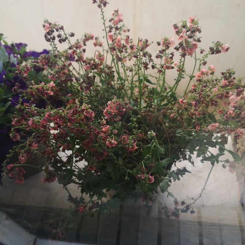 WhatsApp Image 2022-05-13 at 7.13.03 PM