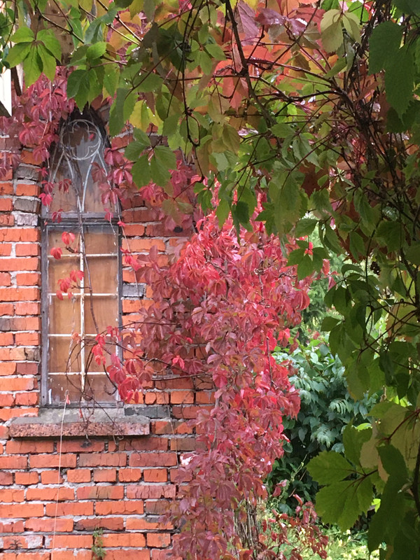 разное, ремонт и пр 002