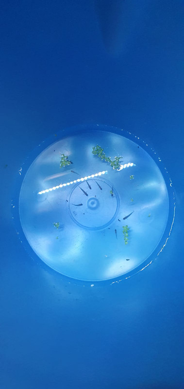 2A4BEBB5-79E7-4AB1-BC2E-745B33796C95