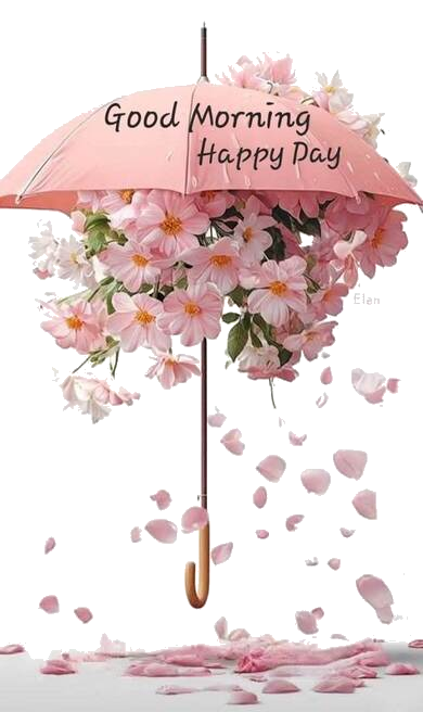 goodmorning-Happydayparapluie
