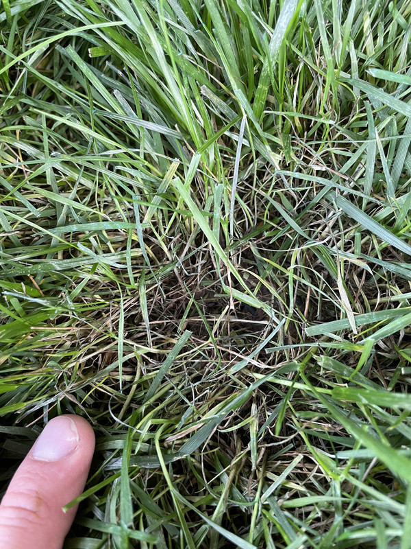 BFDC5318-F091-4503-8609-E65DB40DDD35