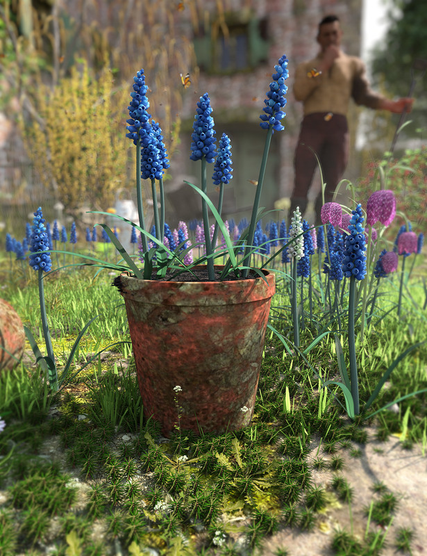 springflowersmuscarigrapehyacinths00maindaz3d