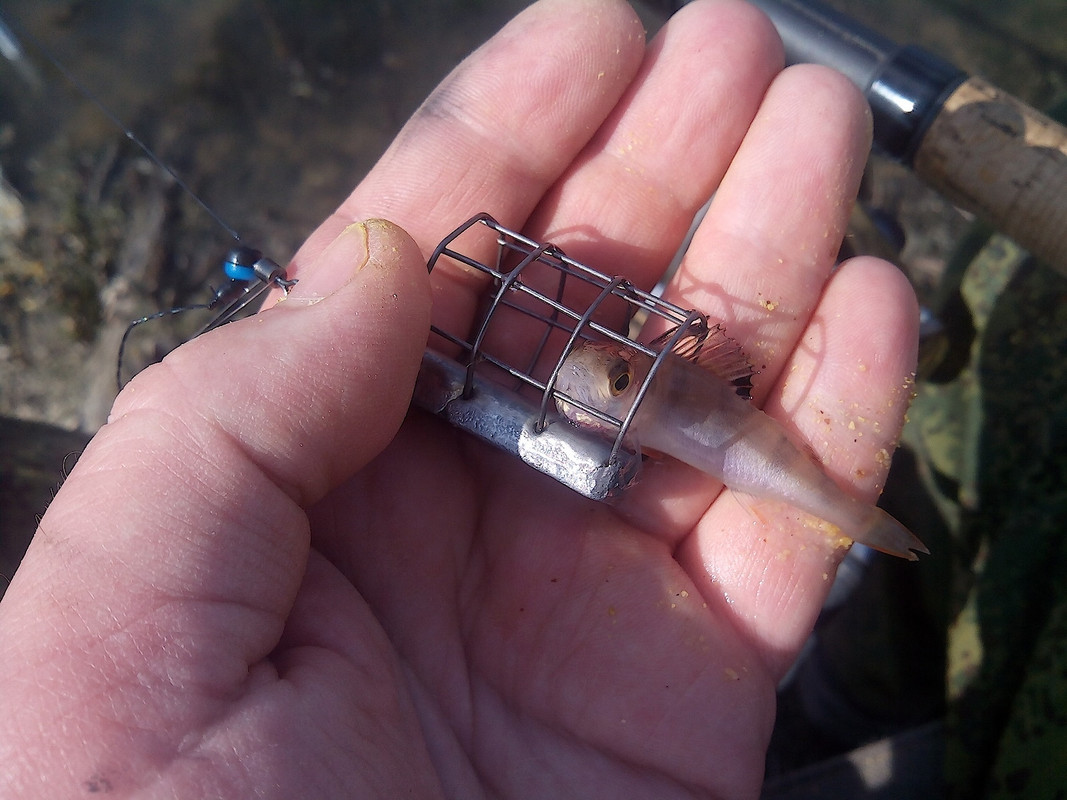 Серга 03.05.2015 05