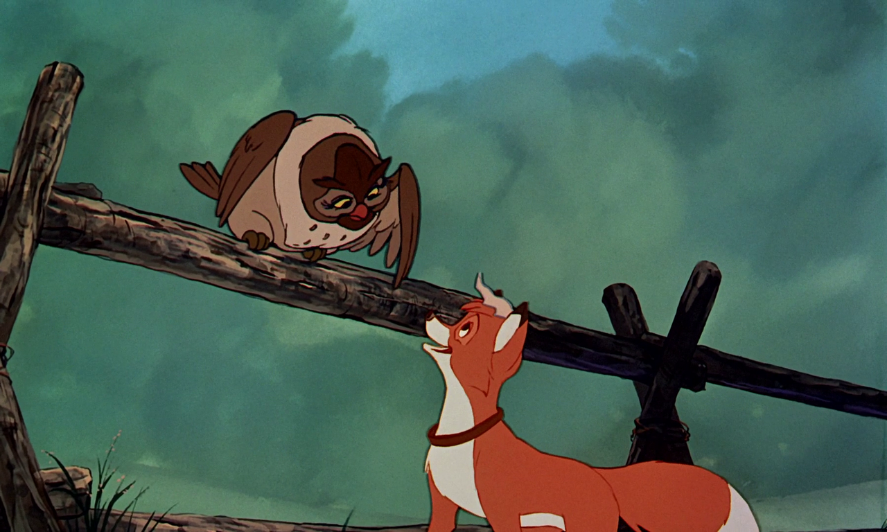 vlcsnap-2023-12-31-11h46m12s085