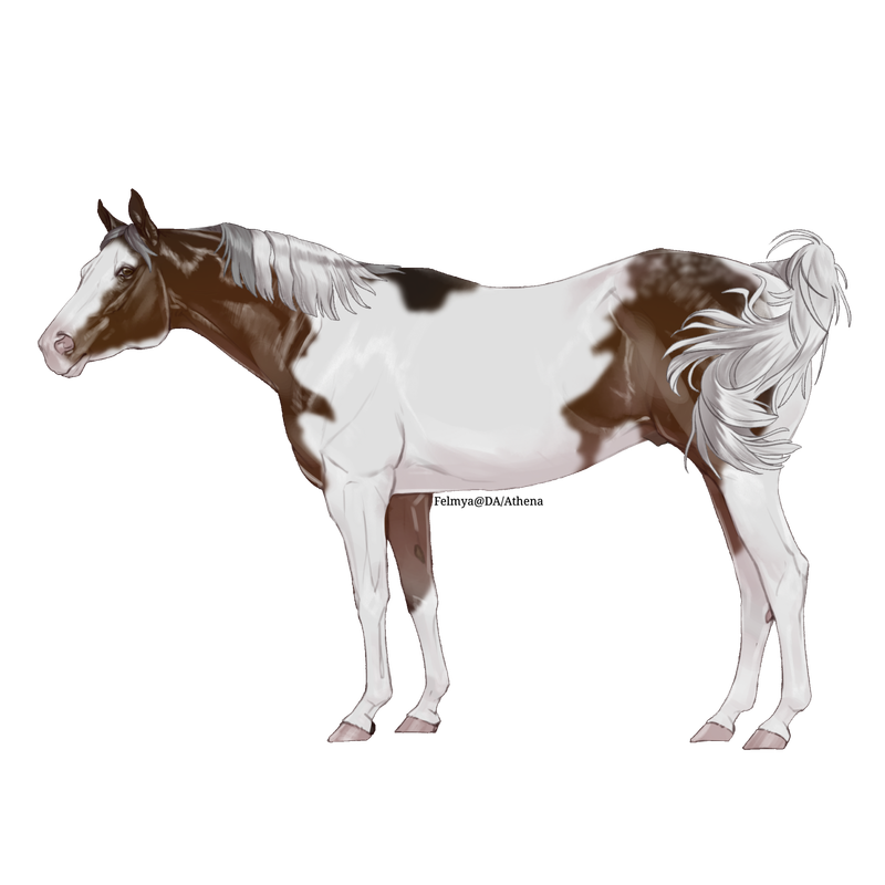 0-388663-Purdy.png