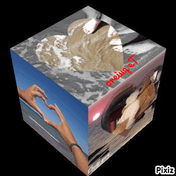 gif-2019